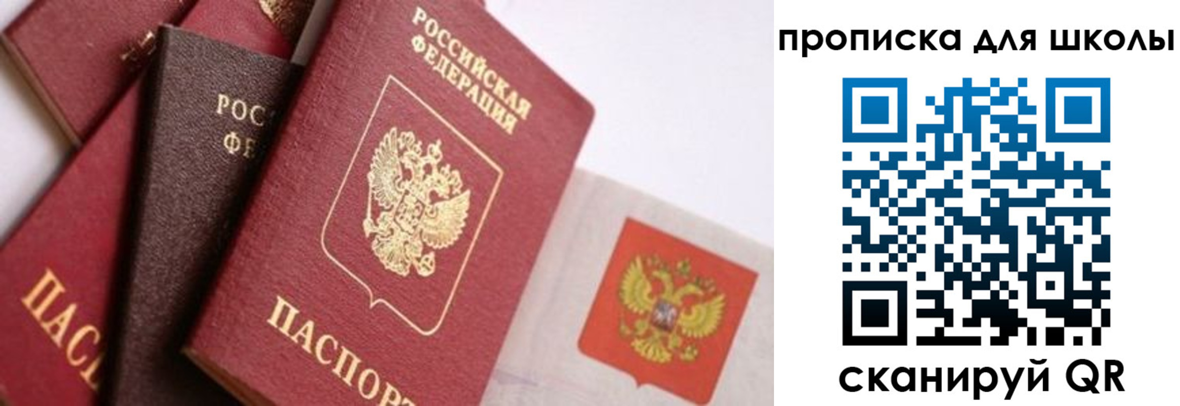 прописка поиск в Питкяранте